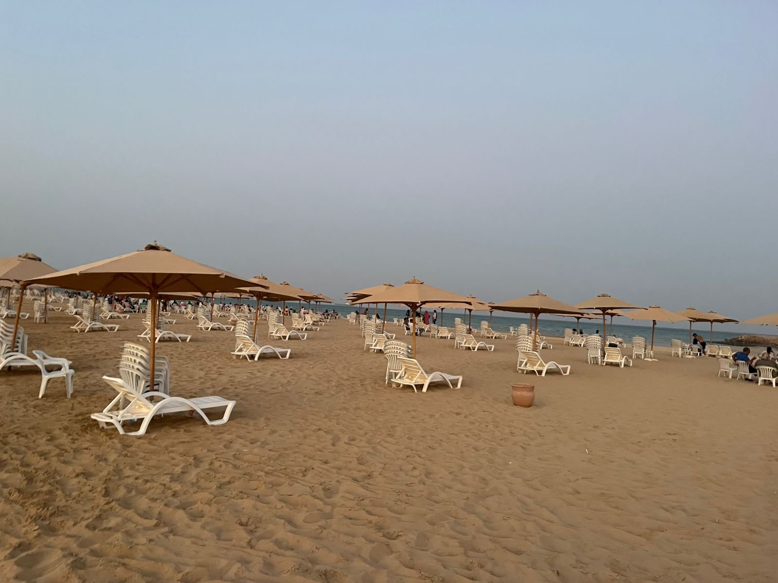 WhatsApp Image 2025-09-08 at 16.06.31_22ad38a4