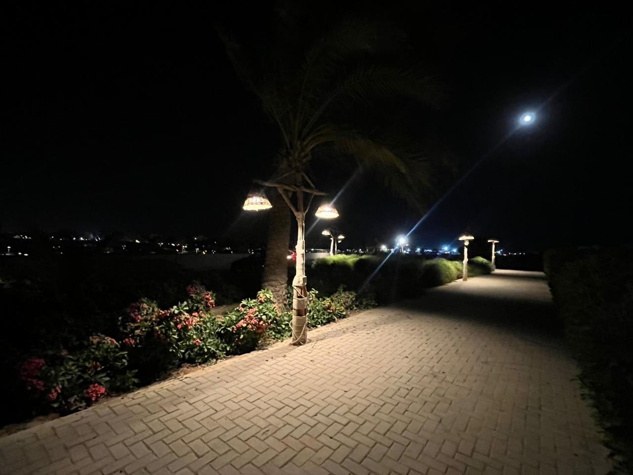 WhatsApp Image 2025-09-08 at 16.06.31_4b20231c