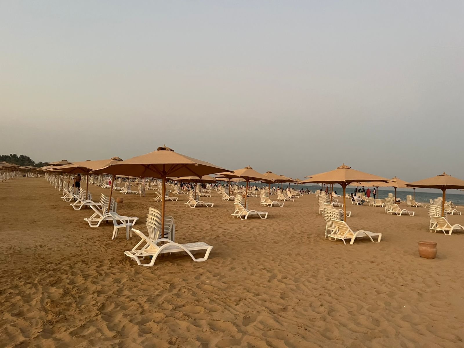 WhatsApp Image 2025-09-08 at 16.06.31_61b66fe1